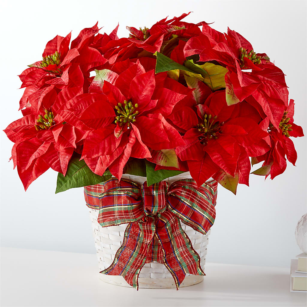 Happiest Holidays Poinsettia – Hallmark Flower Shoppe, Panama City FL
