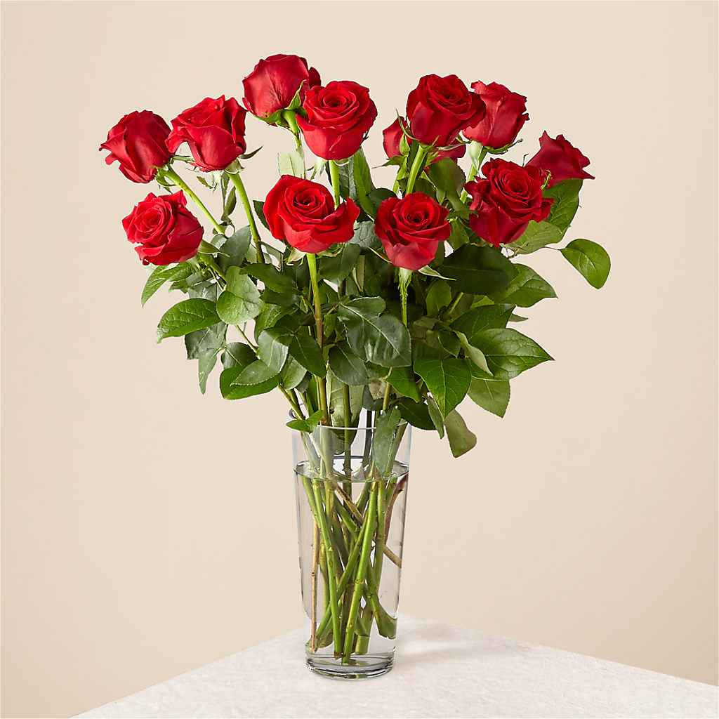 Long Stem Red Rose Bouquet – Hallmark Flower Shoppe, Panama City FL