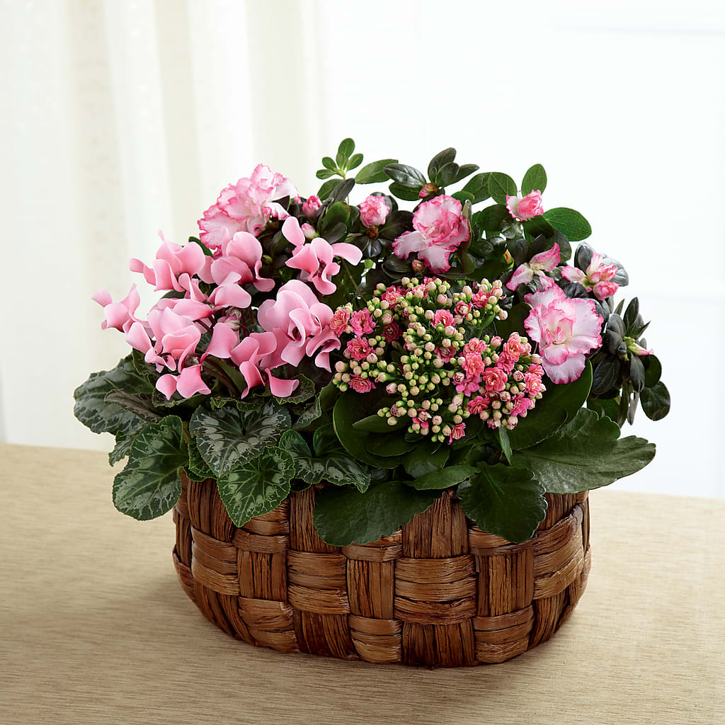 Pink Assortment – Hallmark Flower Shoppe, Panama City FL