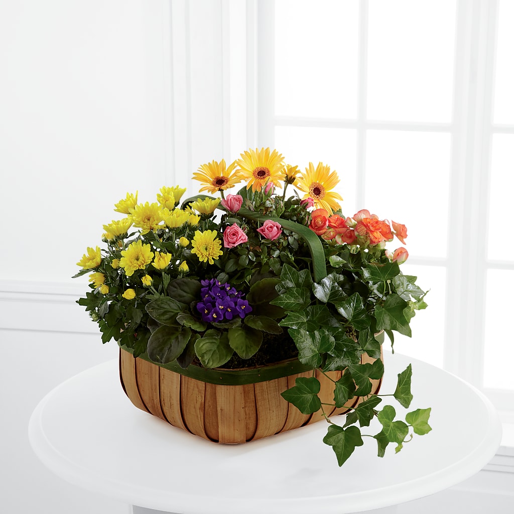 Gentle Blossoms Basket – Hallmark Flower Shoppe, Panama City FL
