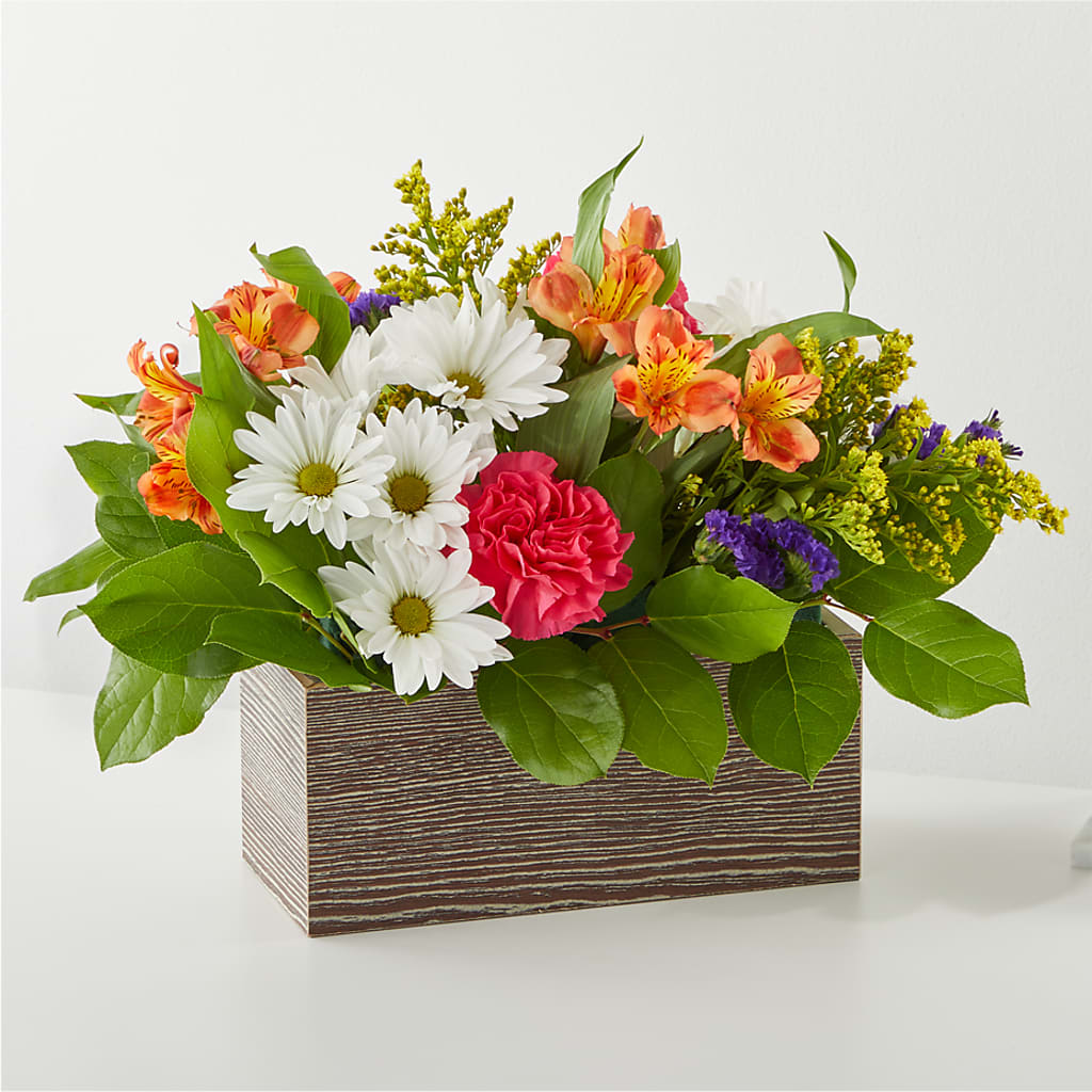 Oopsie Daisy Box Bouquet – Hallmark Flower Shoppe, Panama City FL