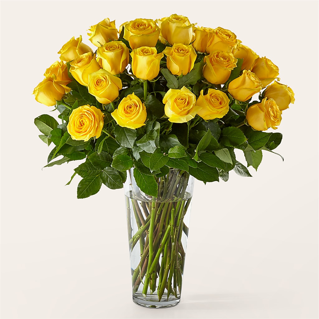 Long Stem Yellow Rose Bouquet – Hallmark Flower Shoppe, Panama City FL