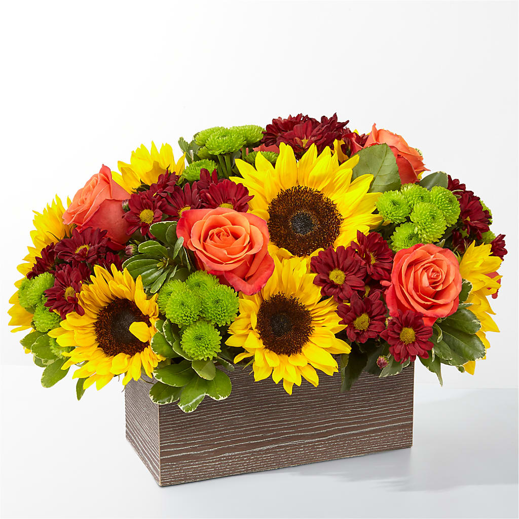 Happy Harvest Garden – Hallmark Flower Shoppe, Panama City FL