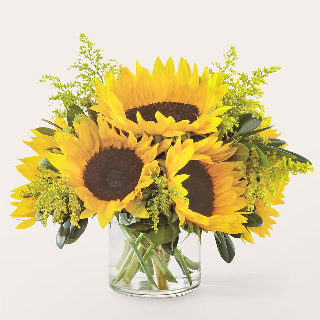 Beaming Sunflower Bouquet – Hallmark Flower Shoppe, Panama City FL