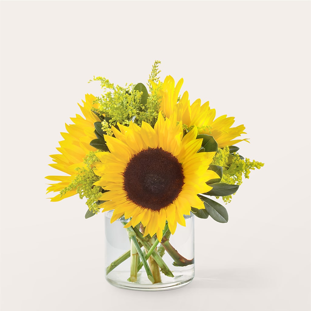 Beaming Sunflower Bouquet – Hallmark Flower Shoppe, Panama City FL