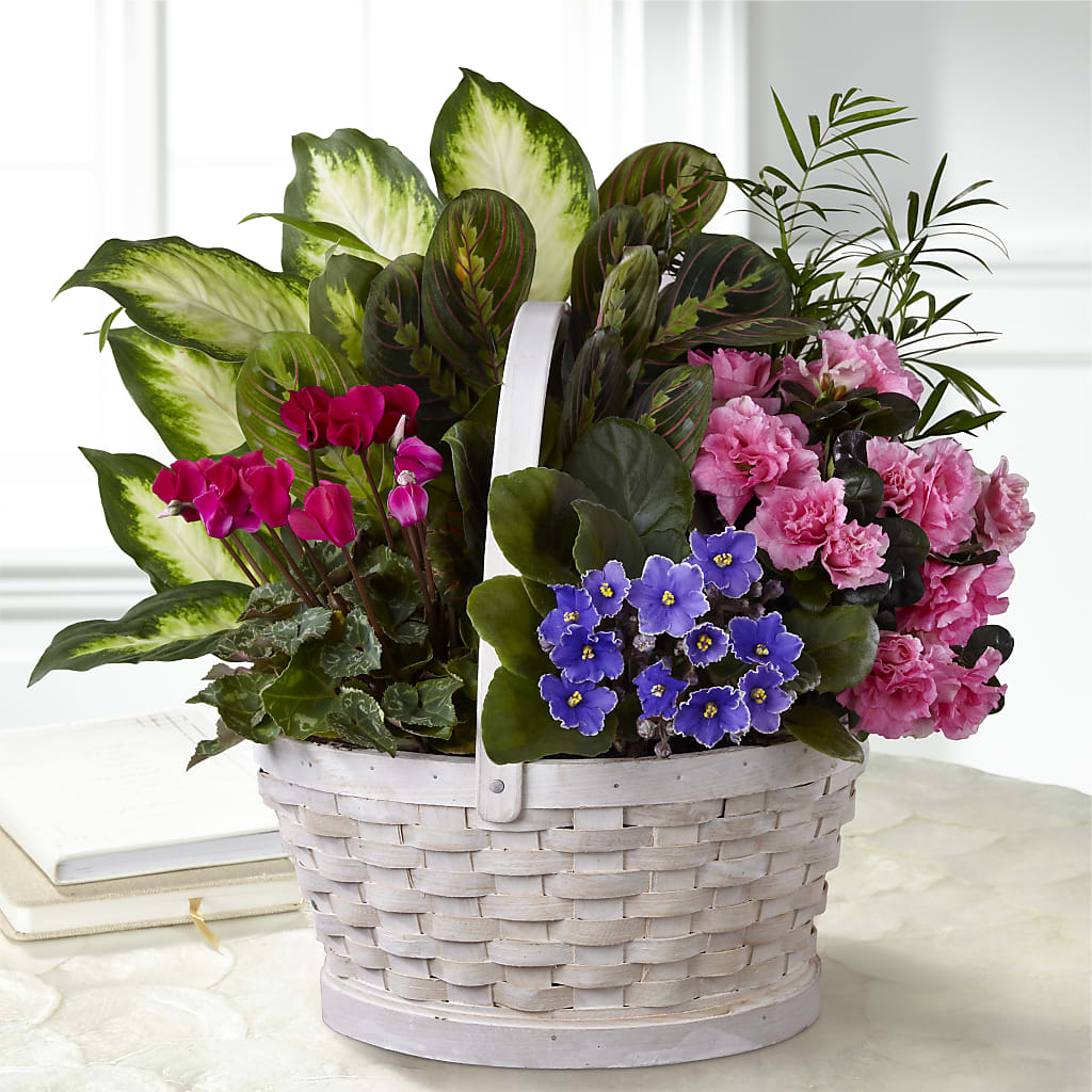 Peaceful Garden Planter – Hallmark Flower Shoppe, Panama City FL