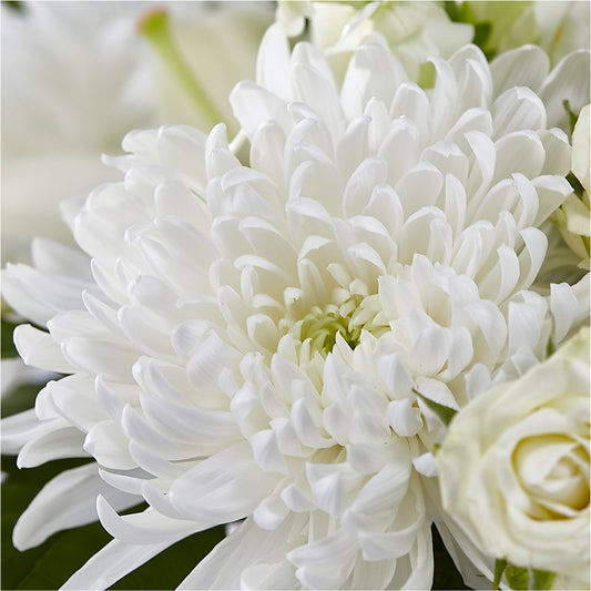 Classic Ivory – A Florist Original – Hallmark Flower Shoppe, Panama City FL