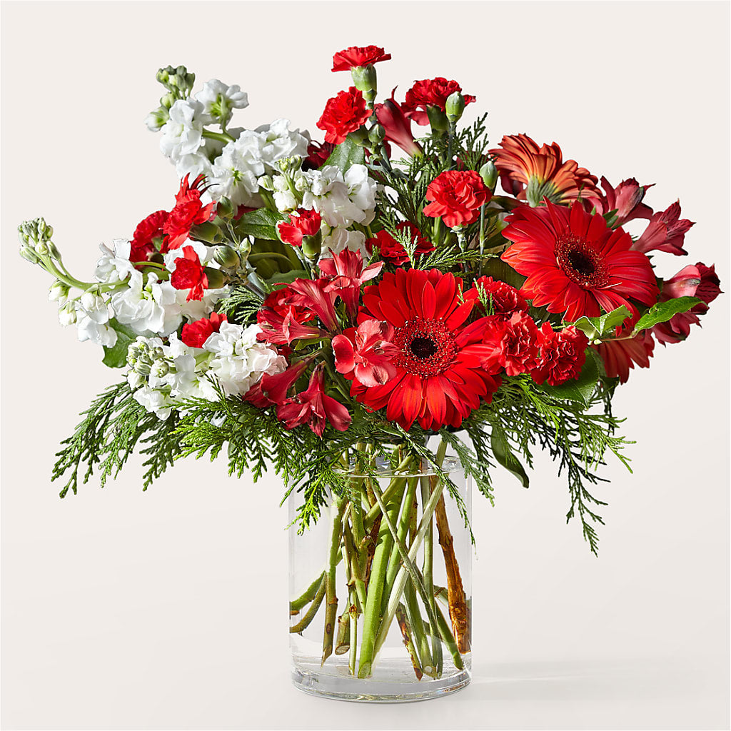 Holidaisy Bouquet – Hallmark Flower Shoppe, Panama City FL