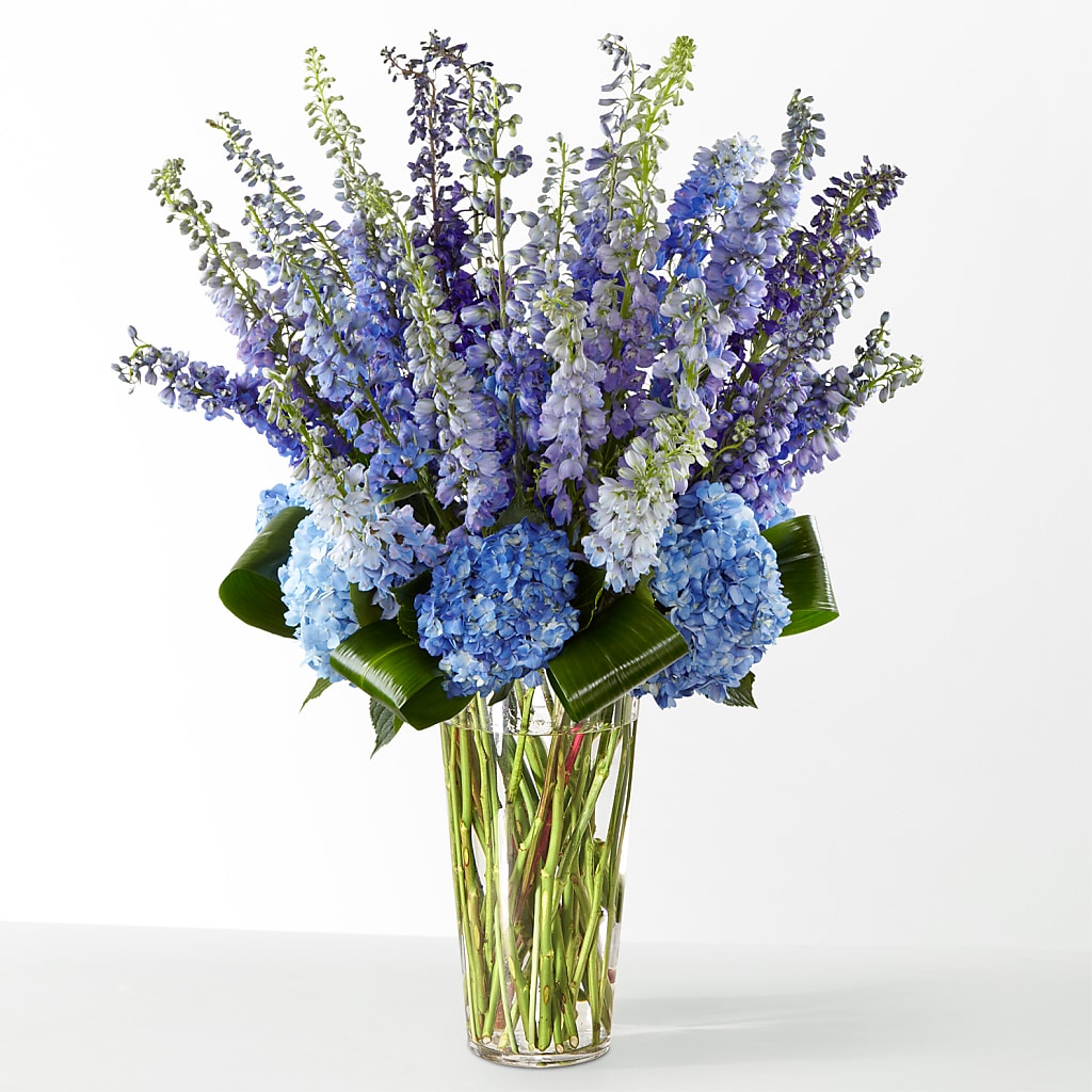 The Editorial – Hallmark Flower Shoppe, Panama City FL