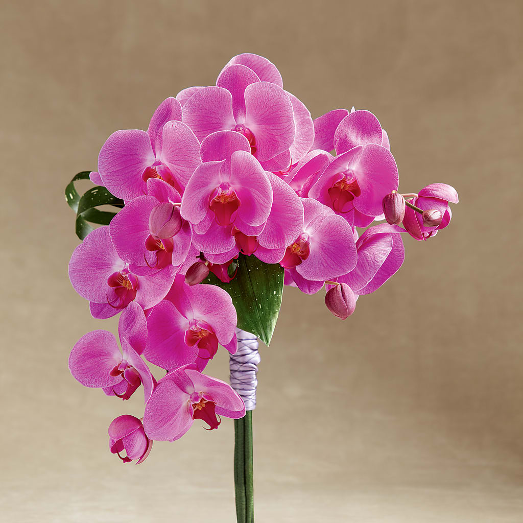 Glorious Bouquet – Hallmark Flower Shoppe, Panama City FL