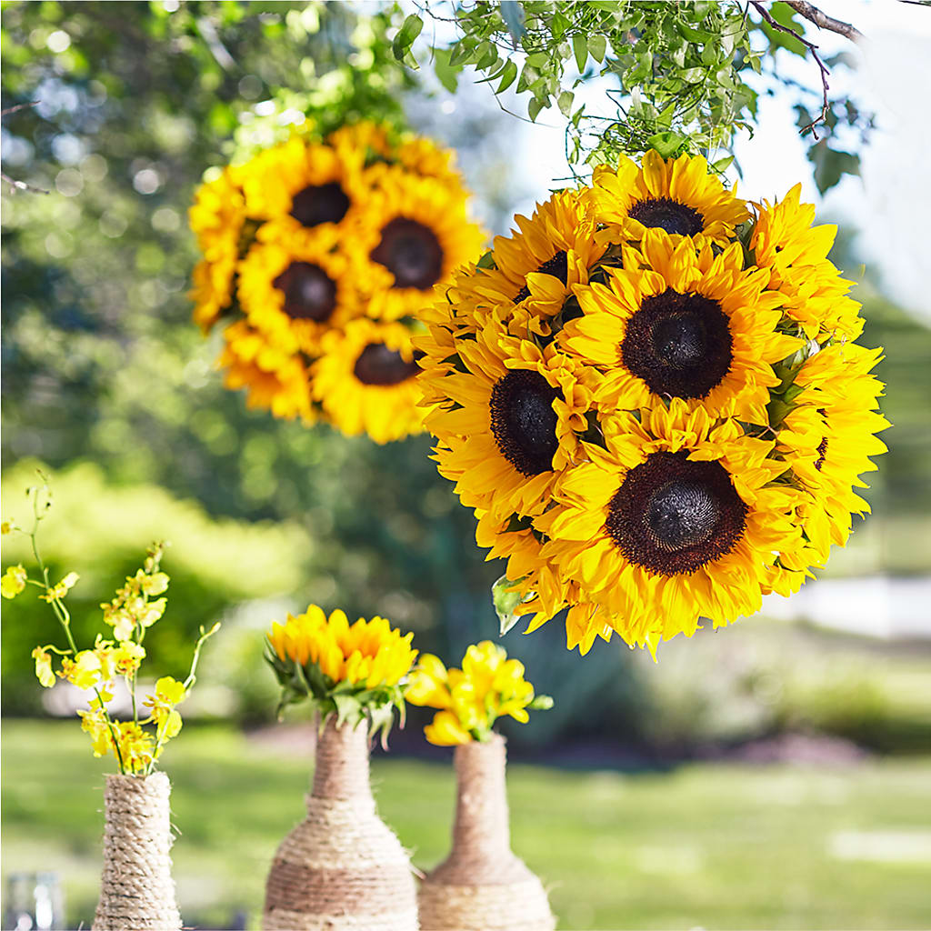 Sublime Garden Hanging Arrangement – Hallmark Flower Shoppe, Panama City FL