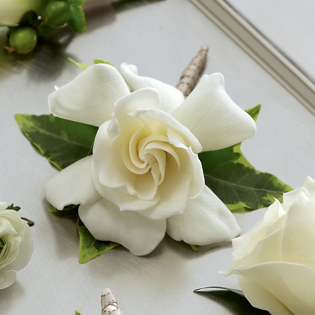 Gardenia Boutonniere – Hallmark Flower Shoppe, Panama City FL