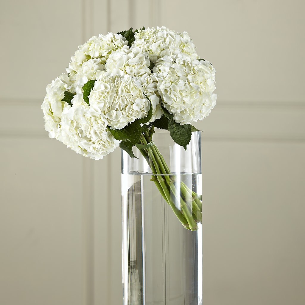 White Hydrangea Hand-Tied Bouquet – Hallmark Flower Shoppe, Panama City FL