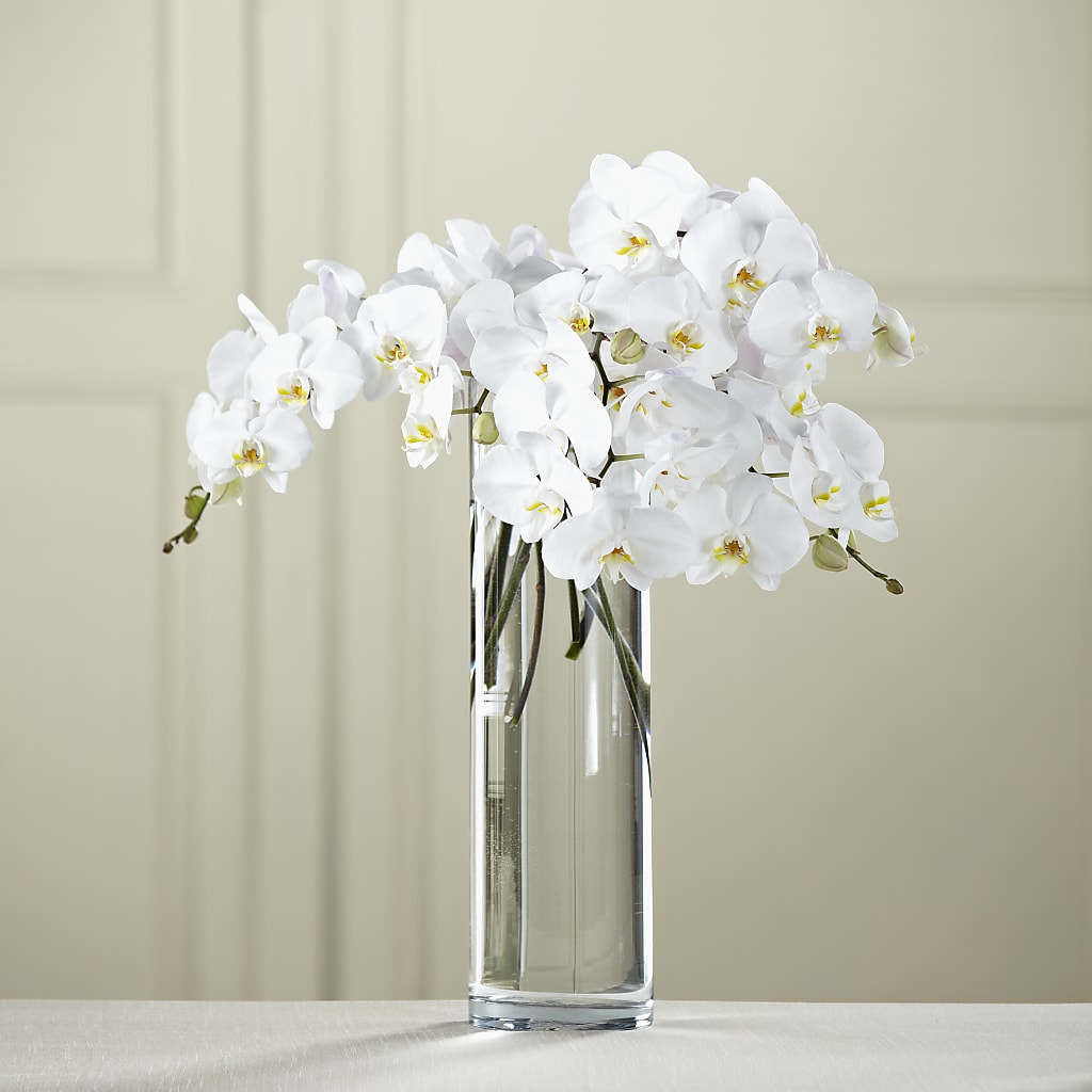 White Phalaenopsis Bouquet – Hallmark Flower Shoppe, Panama City FL