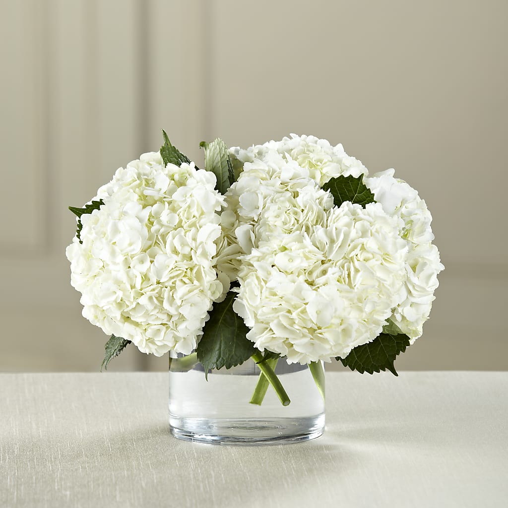 White Hydrangea Bouquet – Hallmark Flower Shoppe, Panama City FL