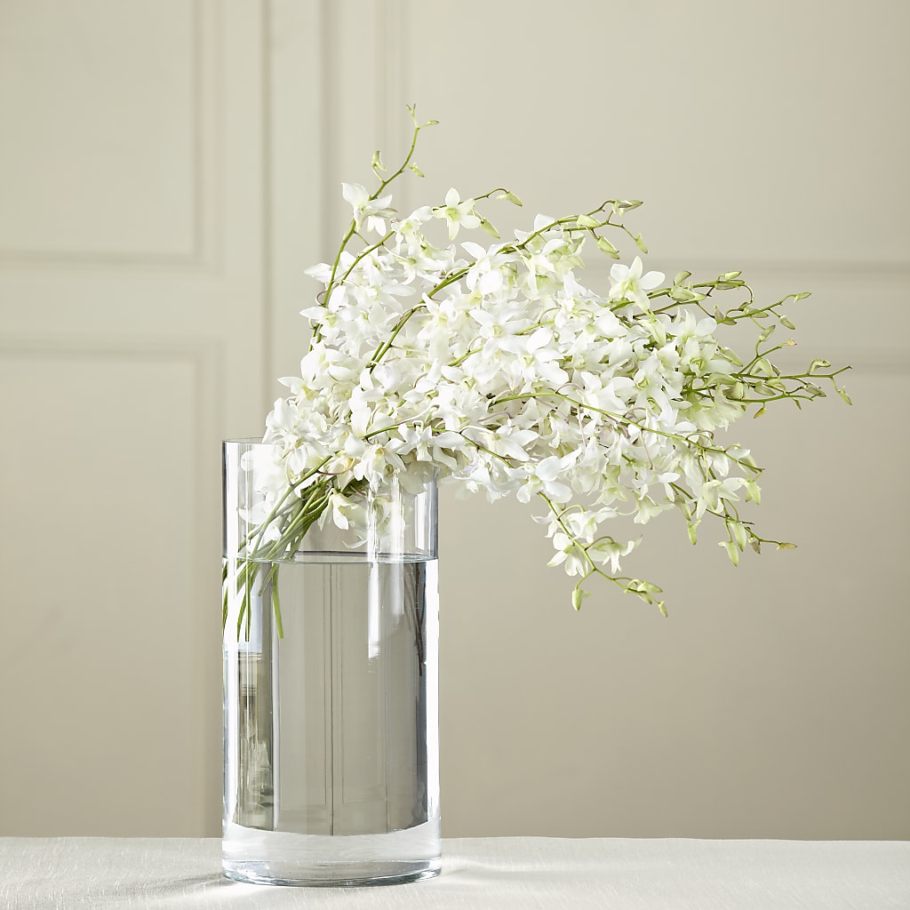 White Dendrobium Bouquet – Hallmark Flower Shoppe, Panama City FL