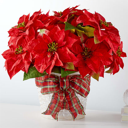 Happiest Holidays Poinsettia –  Hallmark Flower Shoppe, Panama City FL