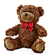 Adorable Plush Bear –  Hallmark Flower Shoppe, Panama City FL
