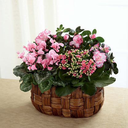 Pink Assortment –  Hallmark Flower Shoppe, Panama City FL