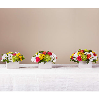 Sorbet Bouquet –  Hallmark Flower Shoppe, Panama City FL
