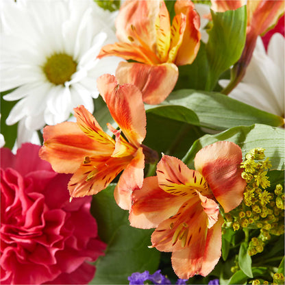 Oopsie Daisy Box Bouquet –  Hallmark Flower Shoppe, Panama City FL