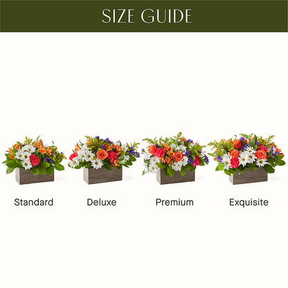 Oopsie Daisy Box Bouquet –  Hallmark Flower Shoppe, Panama City FL