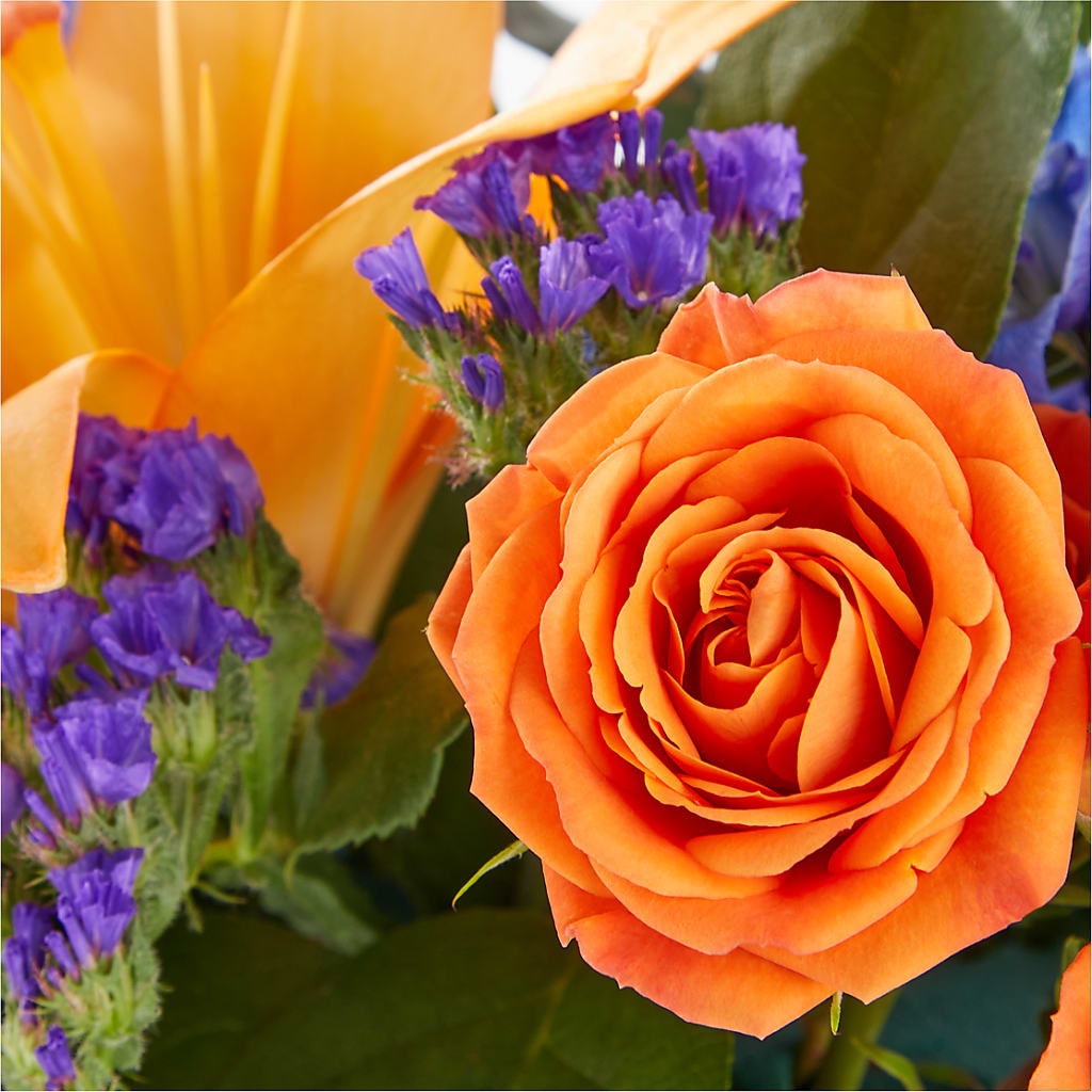 Radiant Citrus Box Bouquet –  Hallmark Flower Shoppe, Panama City FL