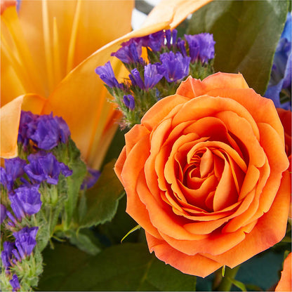 Radiant Citrus Box Bouquet –  Hallmark Flower Shoppe, Panama City FL