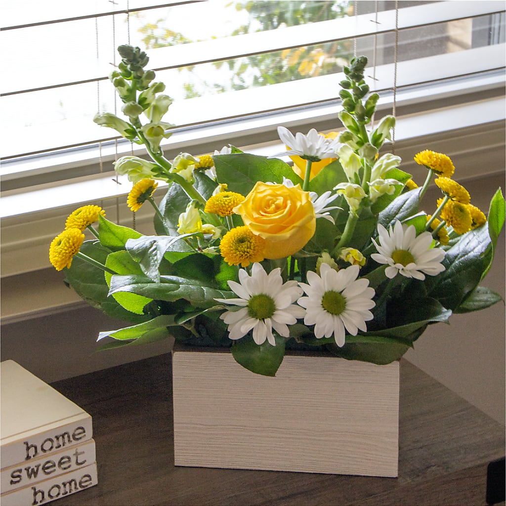Sun Salutation Box Bouquet –  Hallmark Flower Shoppe, Panama City FL