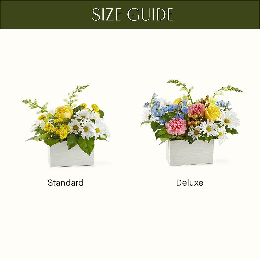 Sun Salutation Box Bouquet –  Hallmark Flower Shoppe, Panama City FL