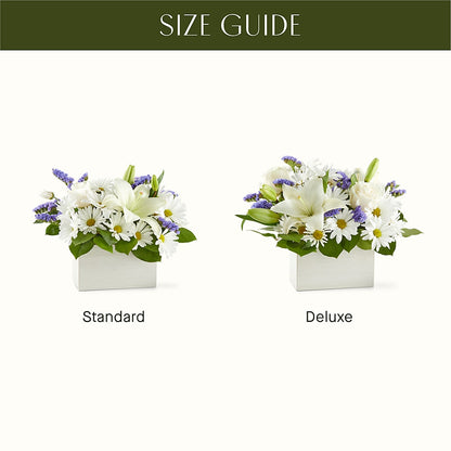 Beyond Blue Box Bouquet –  Hallmark Flower Shoppe, Panama City FL
