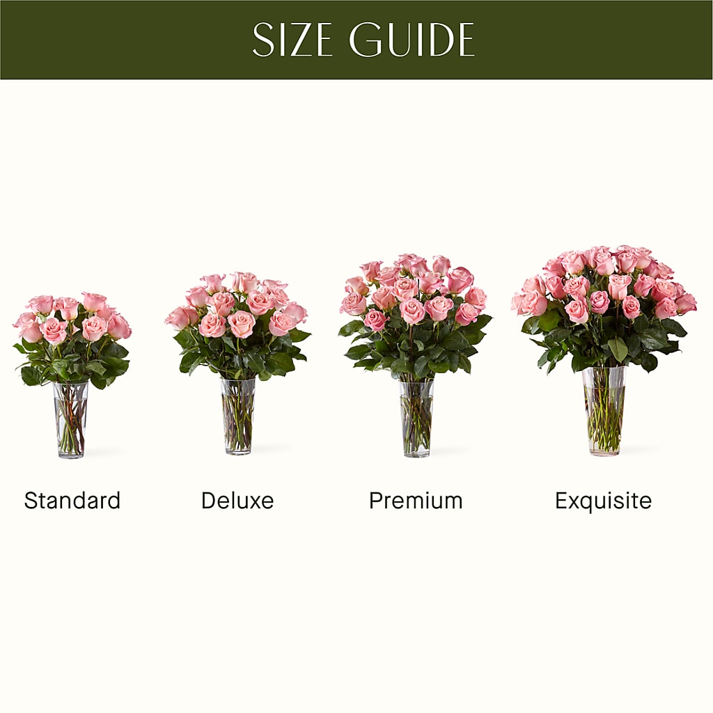 Long Stem Pink Rose Bouquet –  Hallmark Flower Shoppe, Panama City FL