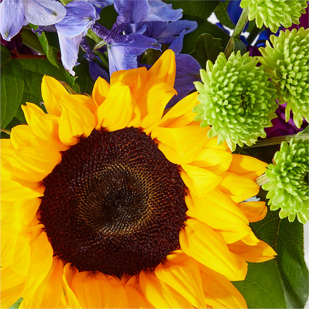Catching Rays Bouquet –  Hallmark Flower Shoppe, Panama City FL