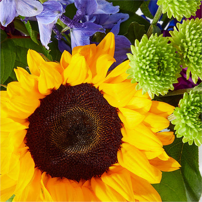 Catching Rays Bouquet –  Hallmark Flower Shoppe, Panama City FL