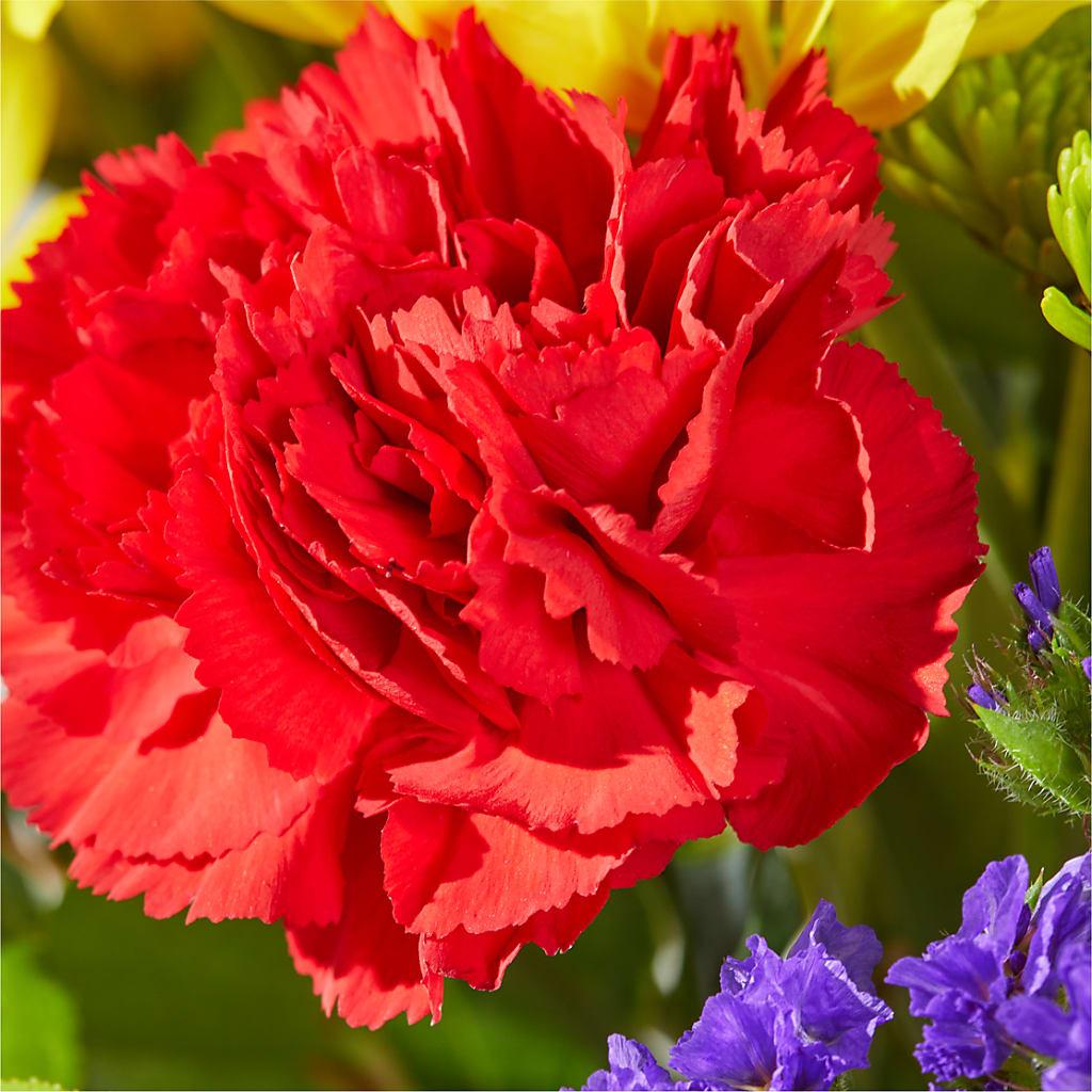 Brighter Days Bouquet –  Hallmark Flower Shoppe, Panama City FL