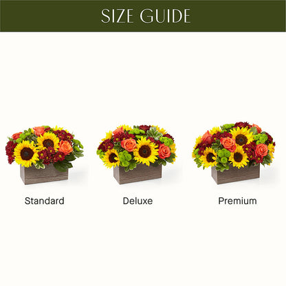 Happy Harvest Garden –  Hallmark Flower Shoppe, Panama City FL