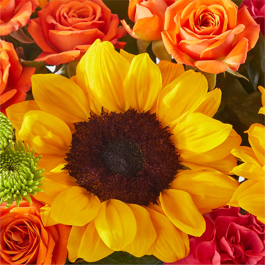 Sun-drenched Blooms Box Bouquet –  Hallmark Flower Shoppe, Panama City FL