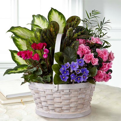 Peaceful Garden Planter –  Hallmark Flower Shoppe, Panama City FL