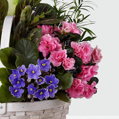 Peaceful Garden Planter –  Hallmark Flower Shoppe, Panama City FL