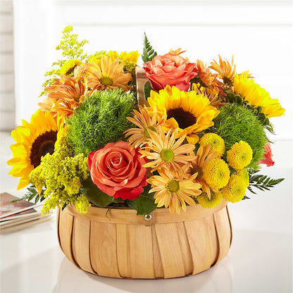 Harvest Sunflower Basket –  Hallmark Flower Shoppe, Panama City FL
