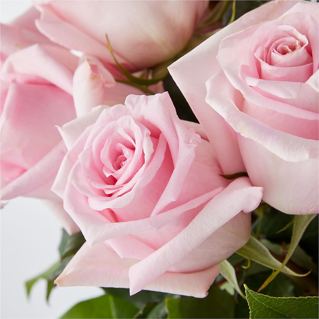 Picture Perfect Pink Rose Bouquet –  Hallmark Flower Shoppe, Panama City FL