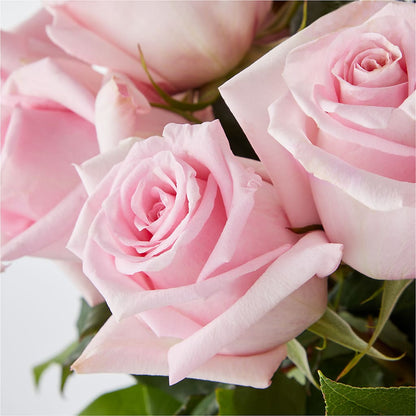 Picture Perfect Pink Rose Bouquet –  Hallmark Flower Shoppe, Panama City FL