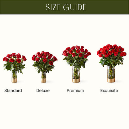 Classic Love Red Rose Bouquet –  Hallmark Flower Shoppe, Panama City FL