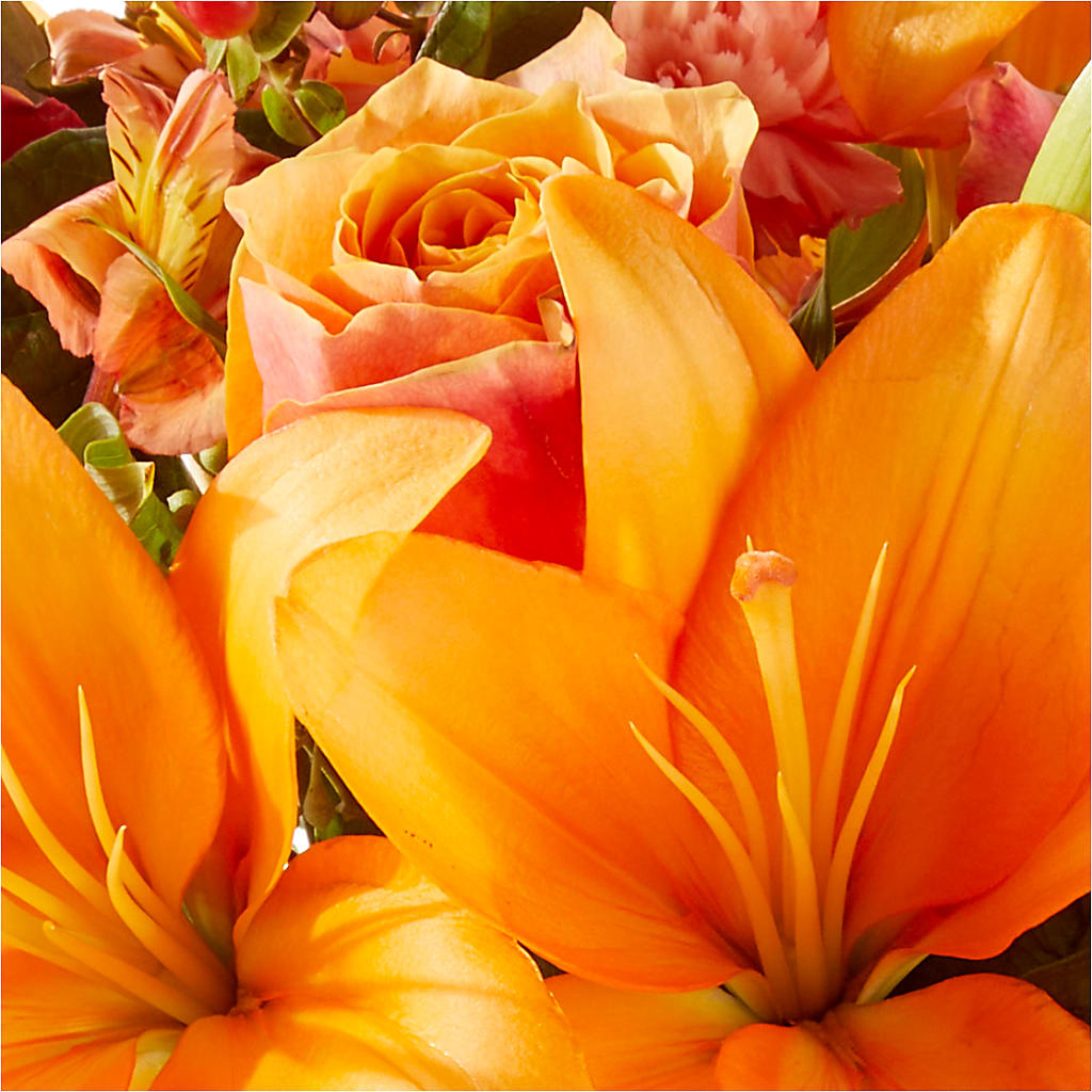 Afternoon Light Bouquet –  Hallmark Flower Shoppe, Panama City FL
