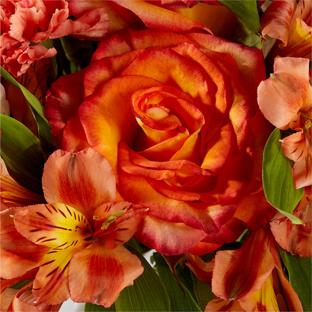 Apricot Glow Bouquet –  Hallmark Flower Shoppe, Panama City FL