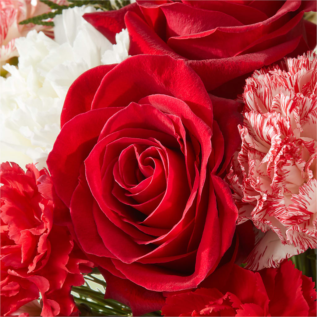 Candy Cane Lane Bouquet –  Hallmark Flower Shoppe, Panama City FL