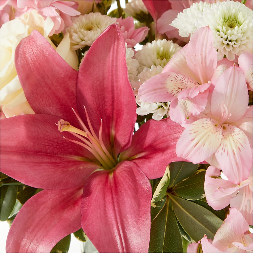 Piece of Cake Bouquet –  Hallmark Flower Shoppe, Panama City FL