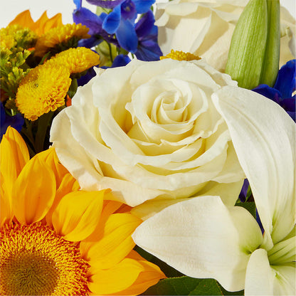 Stargazing Bouquet –  Hallmark Flower Shoppe, Panama City FL