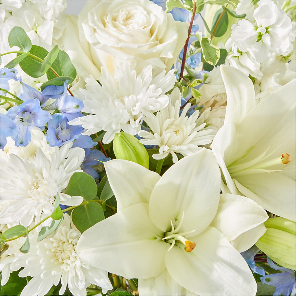 Peace of Mind Bouquet –  Hallmark Flower Shoppe, Panama City FL