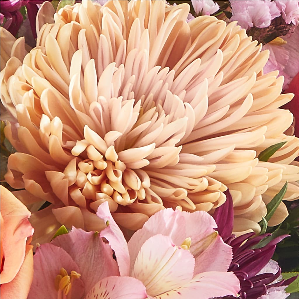 Berry Cobbler Bouquet –  Hallmark Flower Shoppe, Panama City FL
